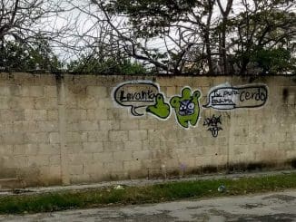 WhatsApp Image 2022 12 25 at 17.43.47