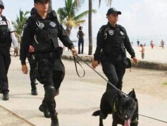 WhatsApp Image 2022 12 28 at 07.36.59