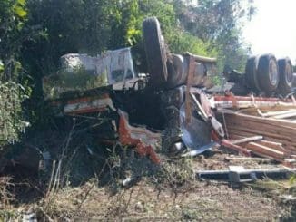 WhatsApp Image 2022 12 28 at 12.52.17