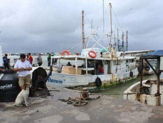 WhatsApp Image 2022 12 29 at 09.39.50