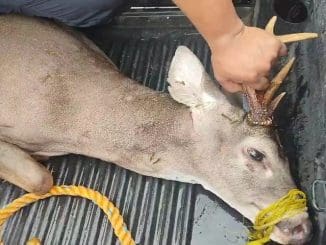 A21d543e bd3b 4688 8af4 9b5a403b520d