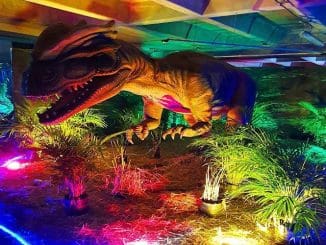 Ad04a575 fa6f 4b23 8f0c fa86a945268b