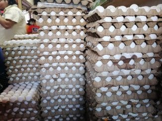 C7849fef 6a18 4289 ada2 0acd4de275cc