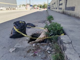 39e2d0c5 383a 4a0b 821f ee4d7b2faaf5