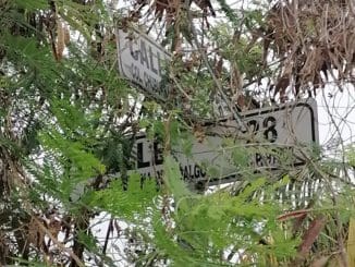 93308d9d dee5 4b93 b58e 5c4a8e9bf883