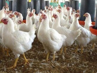 WhatsApp Image 2023 01 02 at 15.12.32