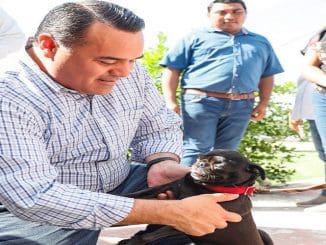 WhatsApp Image 2023 01 02 at 17.05.39