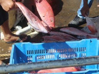 WhatsApp Image 2023 01 05 at 19.50.59