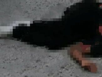 WhatsApp Image 2023 01 06 at 19.42.09