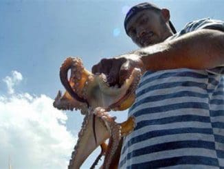 WhatsApp Image 2023 01 07 at 13.10.01