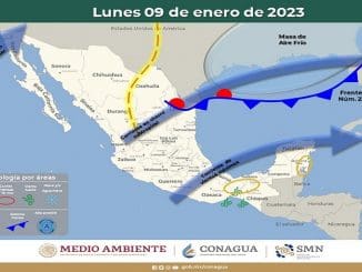 WhatsApp Image 2023 01 08 at 19.13.03