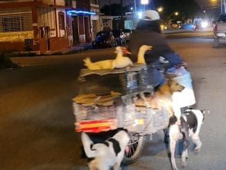 WhatsApp Image 2023 01 09 at 12.43.46