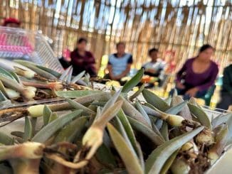 WhatsApp Image 2023 01 09 at 14.51.51