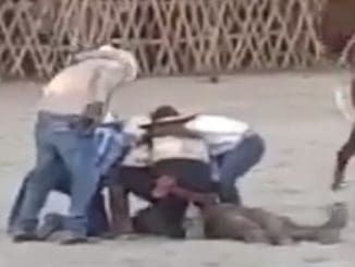 WhatsApp Image 2023 01 10 at 07.56.20