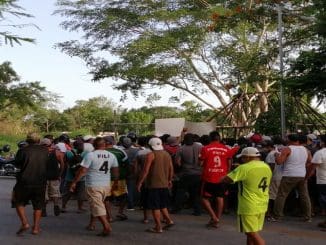 WhatsApp Image 2023 01 10 at 13.05.28