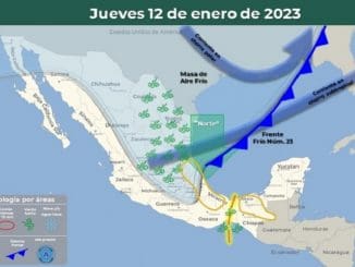 WhatsApp Image 2023 01 12 at 06.04.44