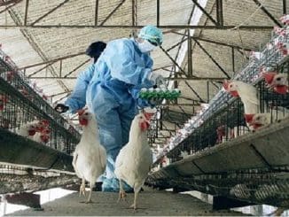 WhatsApp Image 2023 01 12 at 06.12.45