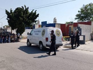 WhatsApp Image 2023 01 12 at 13.05.11