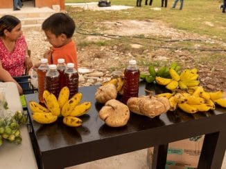 WhatsApp Image 2023 01 17 at 05.56.49