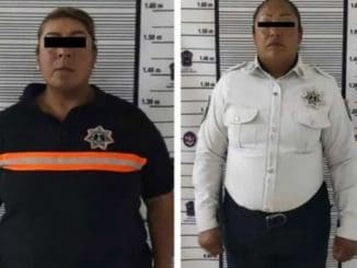 WhatsApp Image 2023 01 17 at 16.10.10