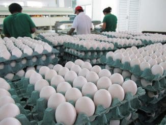 WhatsApp Image 2023 01 18 at 13.55.26