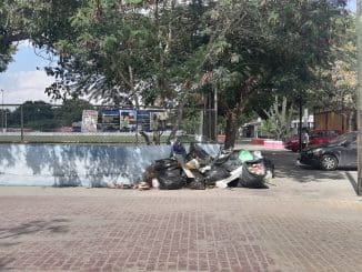 WhatsApp Image 2023 01 19 at 12.33.55