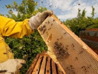 WhatsApp Image 2023 01 20 at 15.09.02