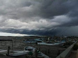 WhatsApp Image 2023 01 26 at 13.31.25