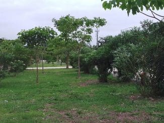 WhatsApp Image 2023 01 26 at 21.55.55