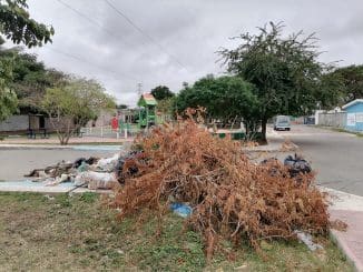 WhatsApp Image 2023 01 28 at 09.09.04