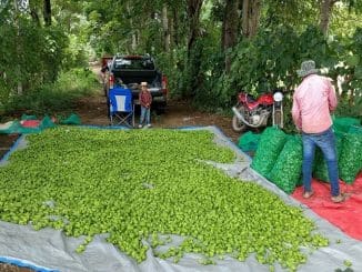 B137cb1b 71ec 42ef bea2 a5d970ee8b1a