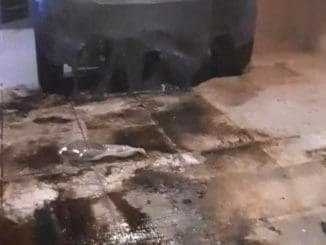 323781453 707628724029308 1191661803667345120 n