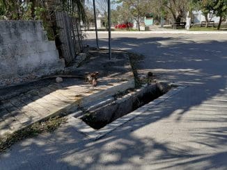 9d4231dc 2e91 4a9d a5dd 50004521f6bd