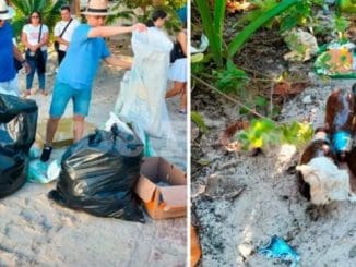 ARQUIDIOCESIS YUC scaled