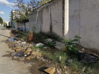 WhatsApp Image 2023 02 02 at 09.08.21