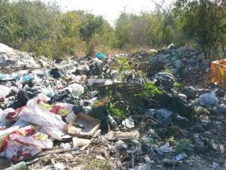 WhatsApp Image 2023 02 03 at 06.10.30