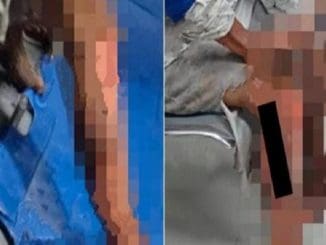 WhatsApp Image 2023 02 04 at 14.39.00