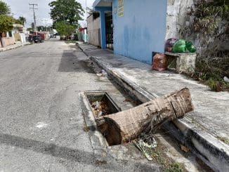 WhatsApp Image 2023 02 06 at 10.49.50