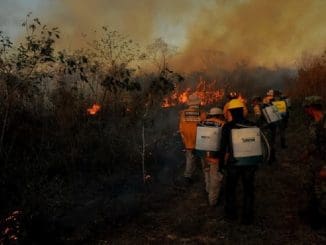 WhatsApp Image 2023 02 06 at 11.49.54