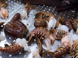 WhatsApp Image 2023 02 07 at 06.15.03