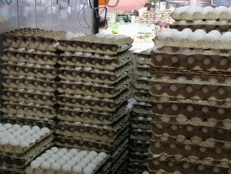 WhatsApp Image 2023 02 07 at 15.32.32