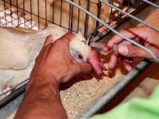 WhatsApp Image 2023 02 10 at 14.01.01