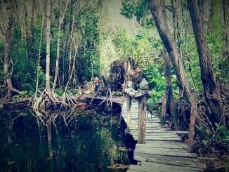 WhatsApp Image 2023 02 13 at 06.33.18