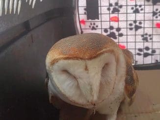 WhatsApp Image 2023 02 13 at 17.39.26