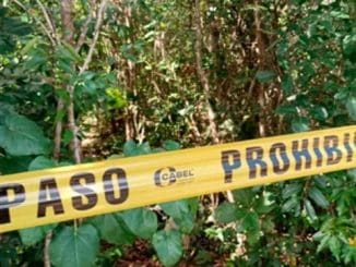 WhatsApp Image 2023 02 13 at 19.14.51