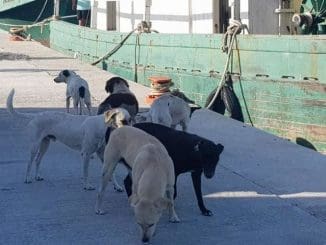 WhatsApp Image 2023 02 15 at 13.35.54