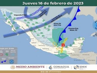 WhatsApp Image 2023 02 16 at 06.54.11