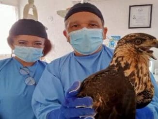 WhatsApp Image 2023 02 16 at 15.36.38