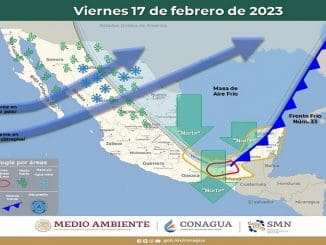 WhatsApp Image 2023 02 17 at 11.44.32