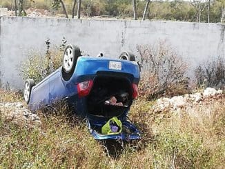 WhatsApp Image 2023 02 17 at 12.33.00